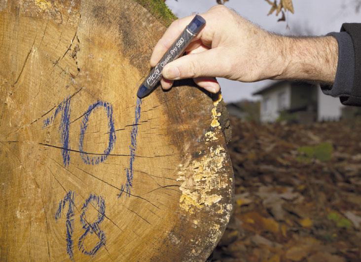 Pica Försterkreide PRO, 12x120mm, gelb